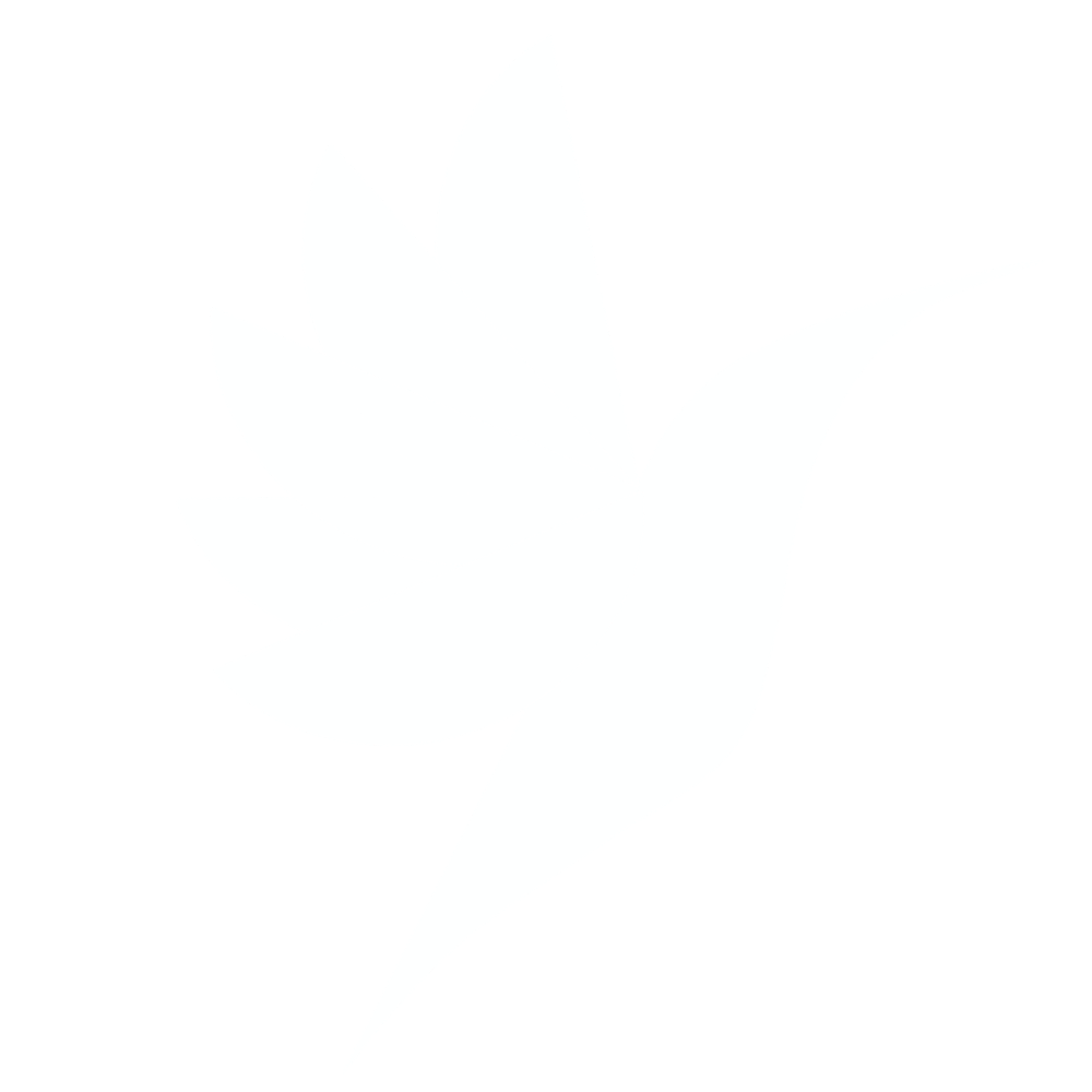 Renuévate DC